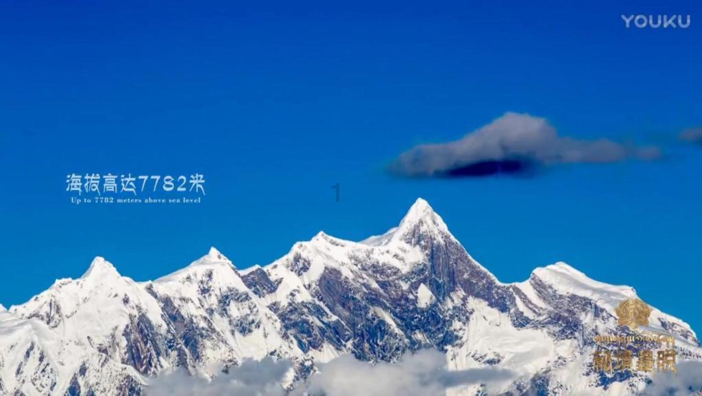 创作猫