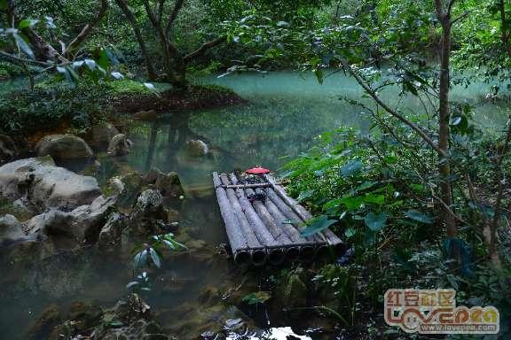 春雨直播app