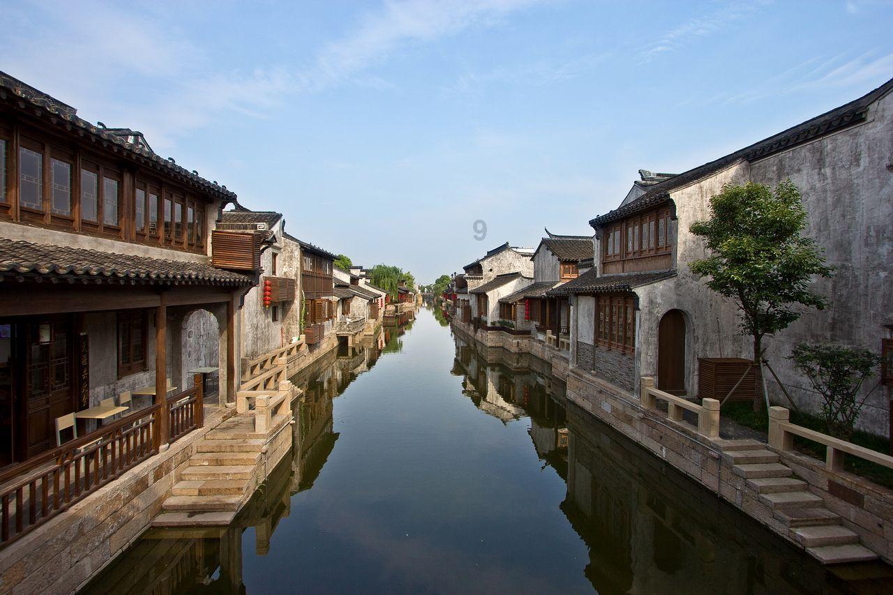 动物帮帮忙保卫家园